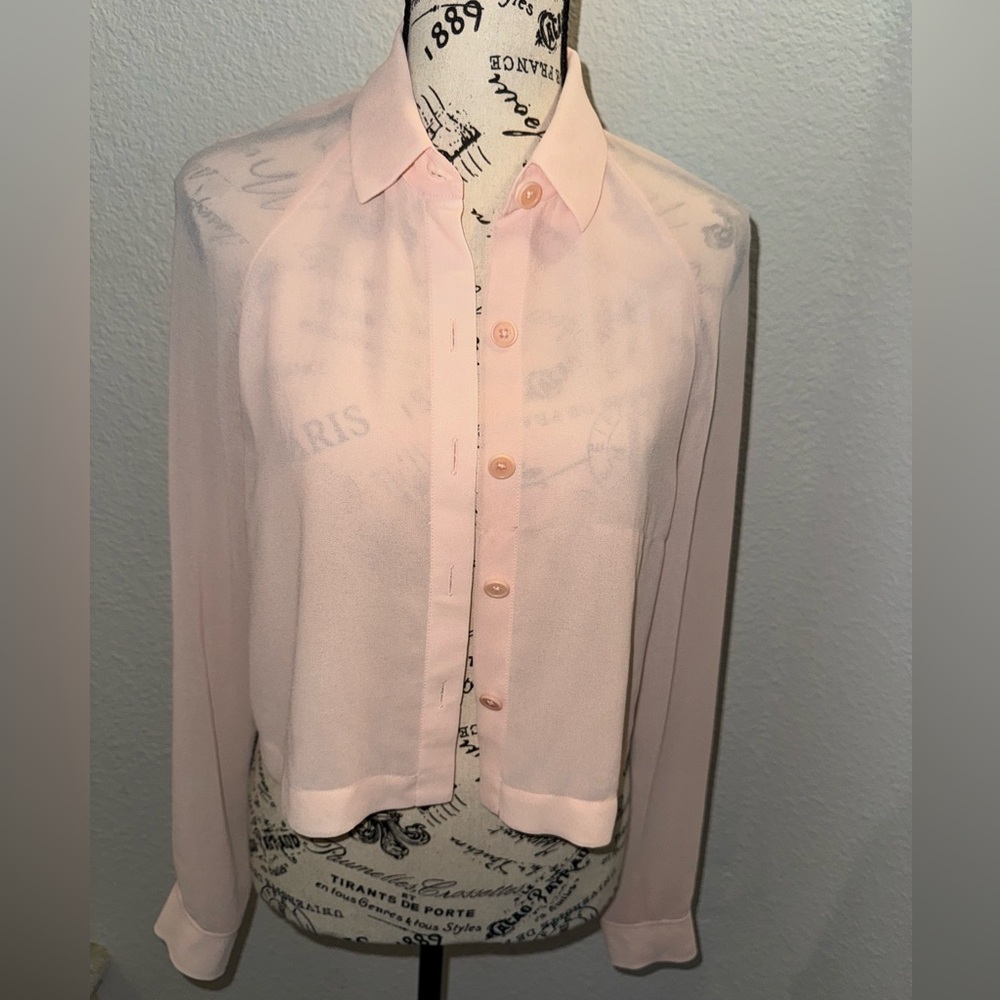 Wilfred Sheer Pink Blouse S